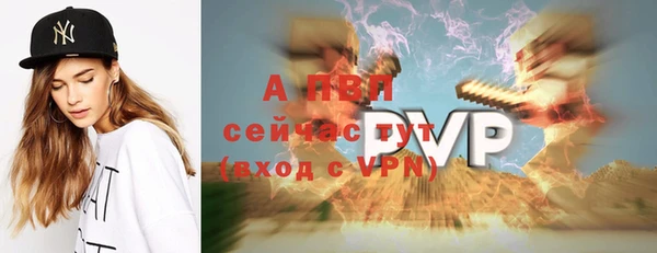 mdpv Бородино