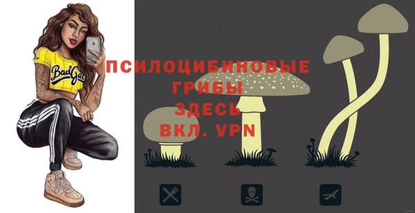 mdpv Бородино