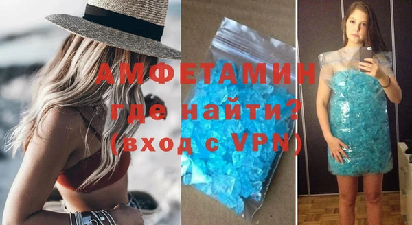 прущие грибы Верея
