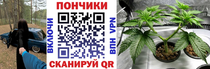 купить наркотики сайты  Павловский Посад  МАРИХУАНА SATIVA & INDICA 